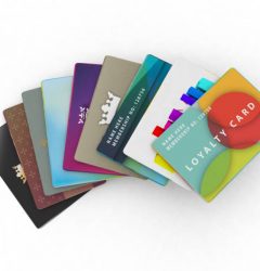 istockphoto 673866916 612x612 1